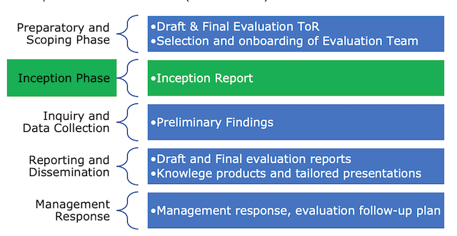 Illustration of a Typical Evaluation Process and the Related Outputs