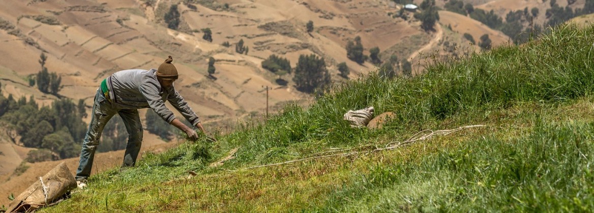 Man managing sloping land in Yewol Highlands