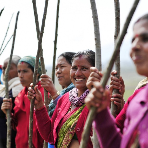 Cooperative members hold forage tree saplings