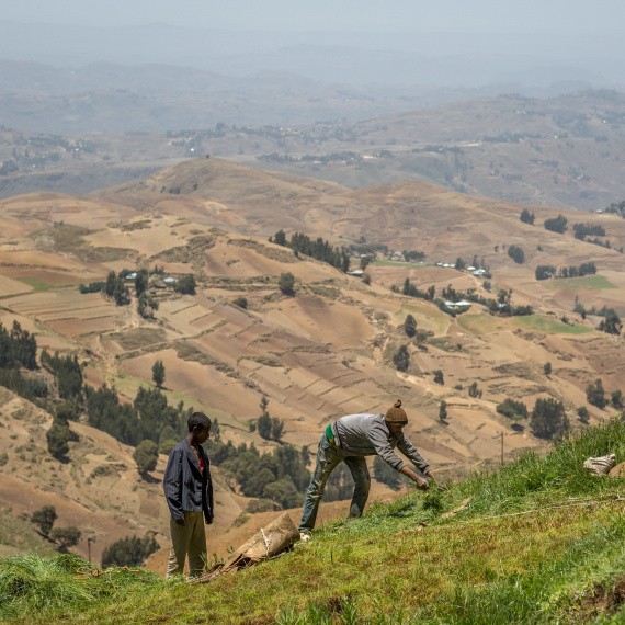 Yewol Highlands Ethiopia